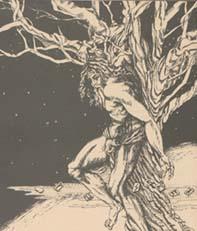 odin-1.jpg